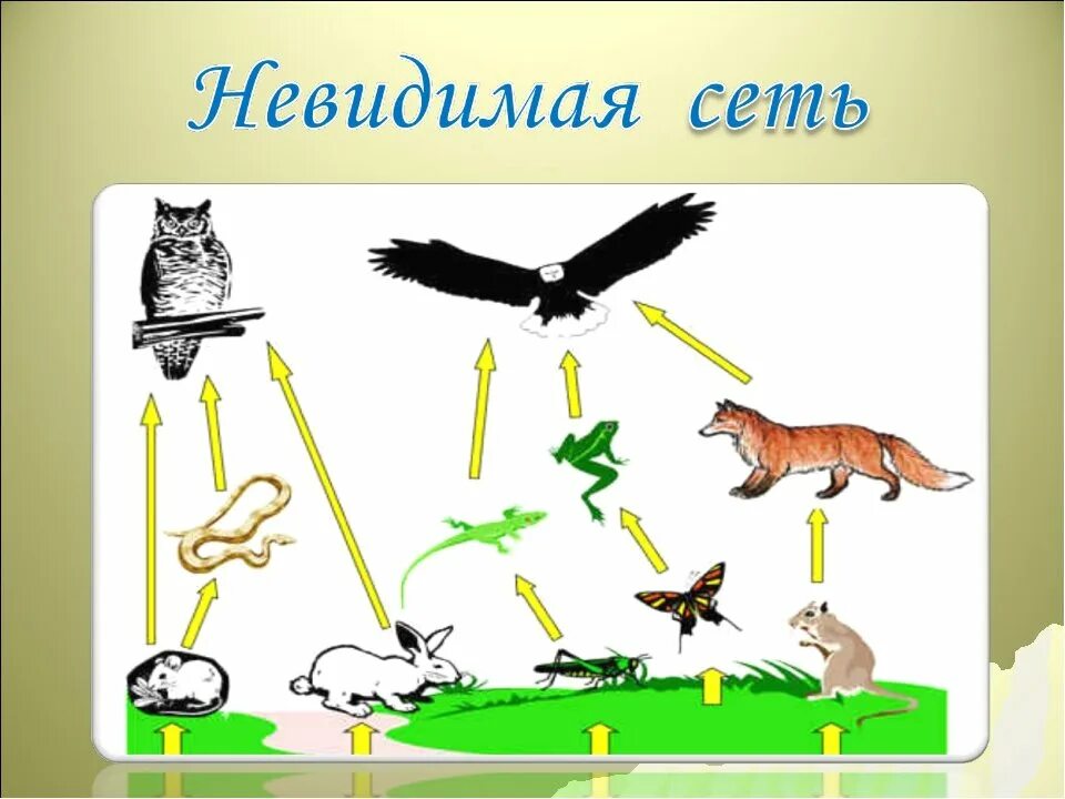 Пример невидимых нитей лесу. Невидимые нити окружающий мир. Невидимые нити схема. Невидимые нити в природе примеры. Неви димые нитии в приррде.