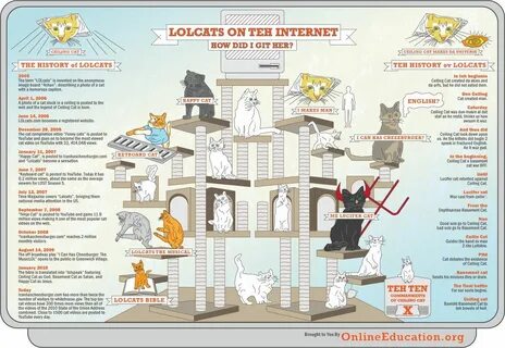 Дом кота на английском