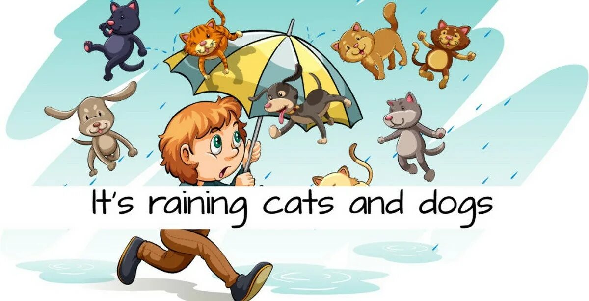 It s raining cats. Rain Cats and Dogs идиома. Идиомы raining Cats and Dogs. Идиомы it's raining Cats and Dogs. Raining Cats and Dogs идиома.