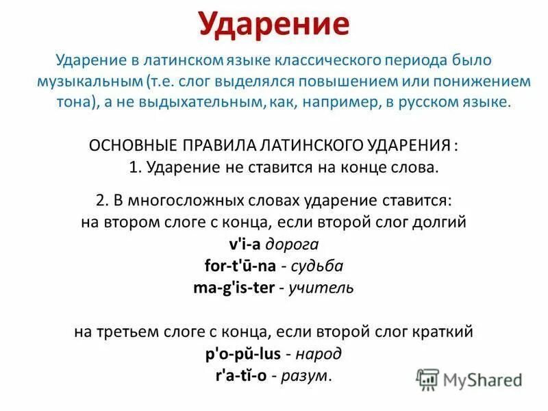 Латинская основа слова. Правила постановки ударения в латинском языке. Правила постановки ударения в латыни. Правила постановки ударения в латинском языке схема. Правило ударений в латинском.