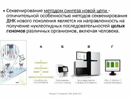 Синтезированы новые виды