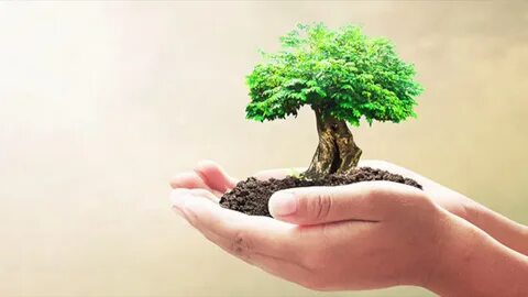 Экологический потребитель