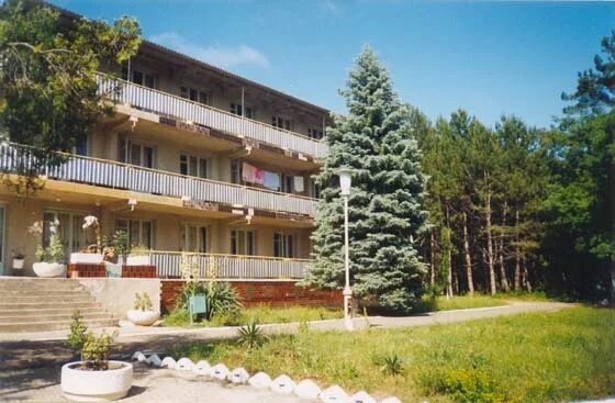 Бетта мо отдых. Бетта краснодарский край санаторий военный. Бетта мо отдых. Геленджик военный санаторий бетта. Бетта краснодарский край санаторий военный.