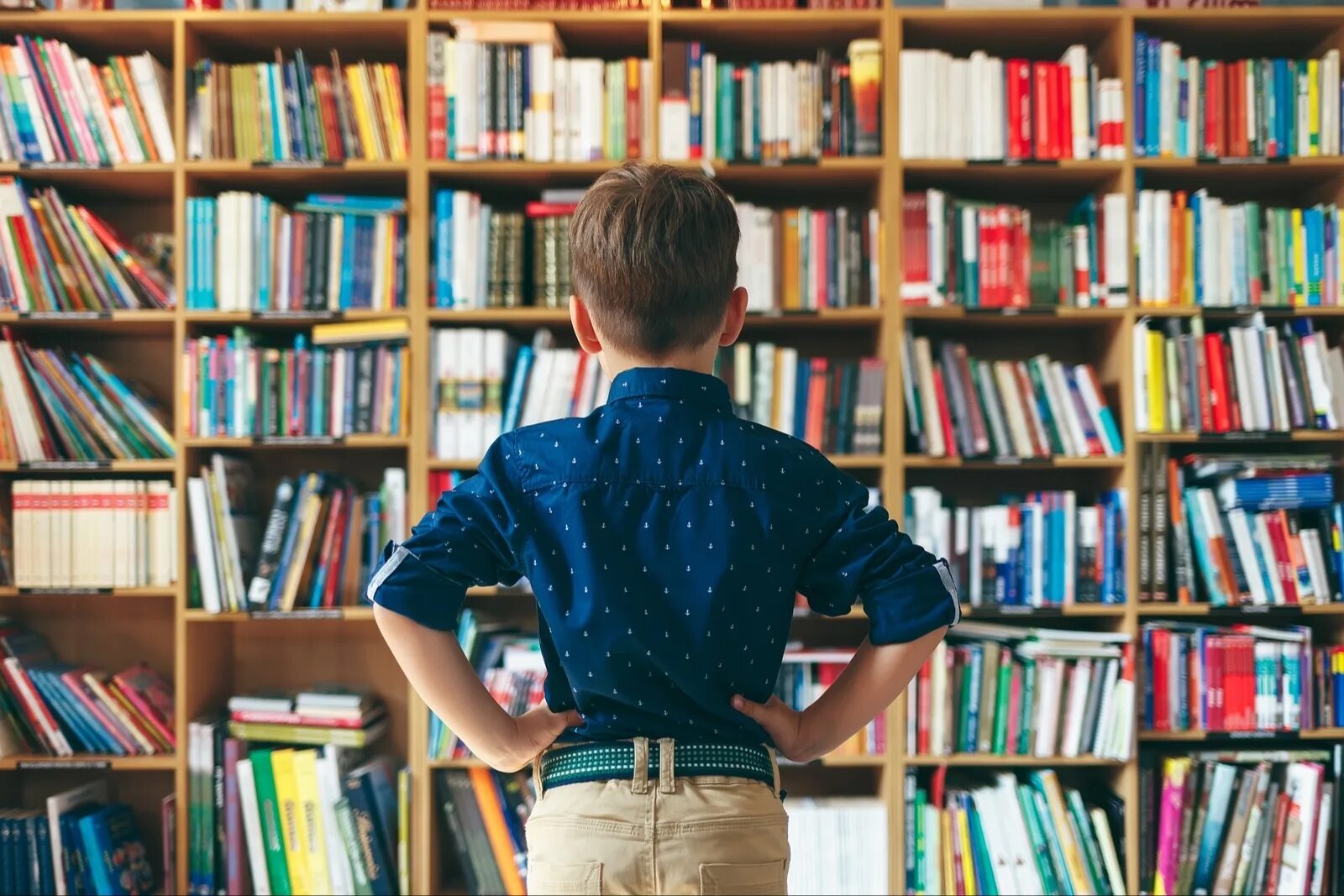 Boy in the Library. Библионочь зал чтения Киров. Книжная выставка Библионочь 2023 года. Библионочь читаем вместе 2023 марафон чтения.