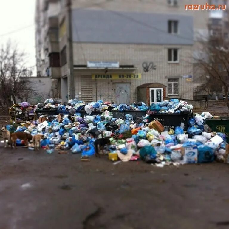 Как живет сейчас николаев. Проблемы города.