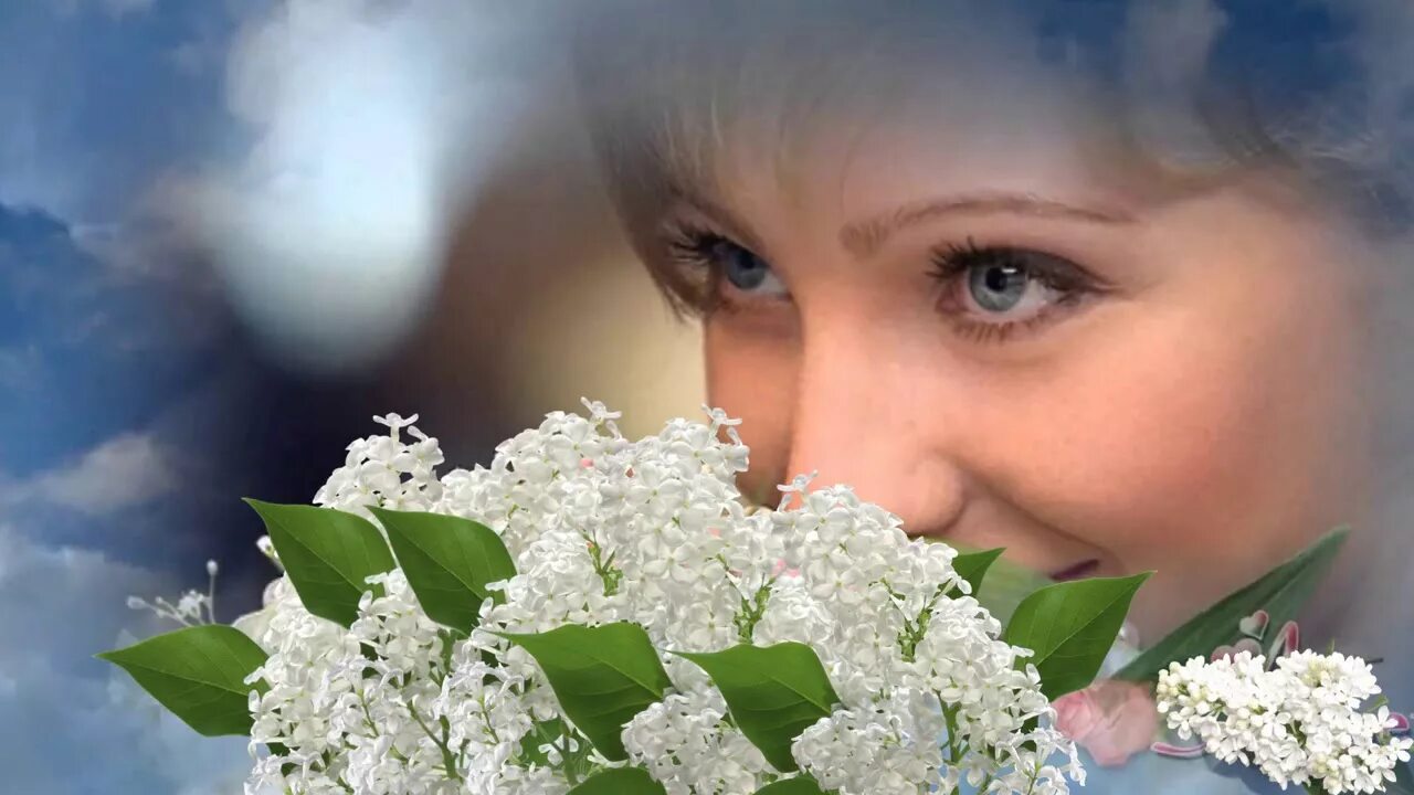 Ветка сирени евдокимов. Сирень в мае. Песня сирень расцвела под. Герман черемуха душистая. Расцвела сирень черемуха в саду песня.