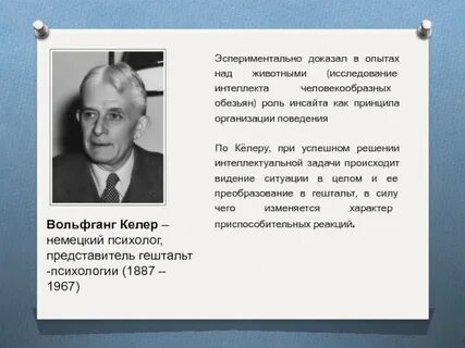 Фамилии психологов