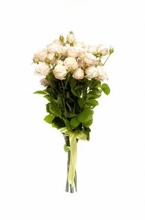 5 кустовых роз