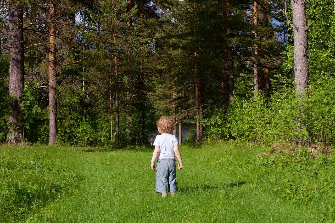 Погулять по лесу. Мальчик в лесу. Прогулки по лесу. Прогулка в хвойном лесу. Прогулка в лесу летом.