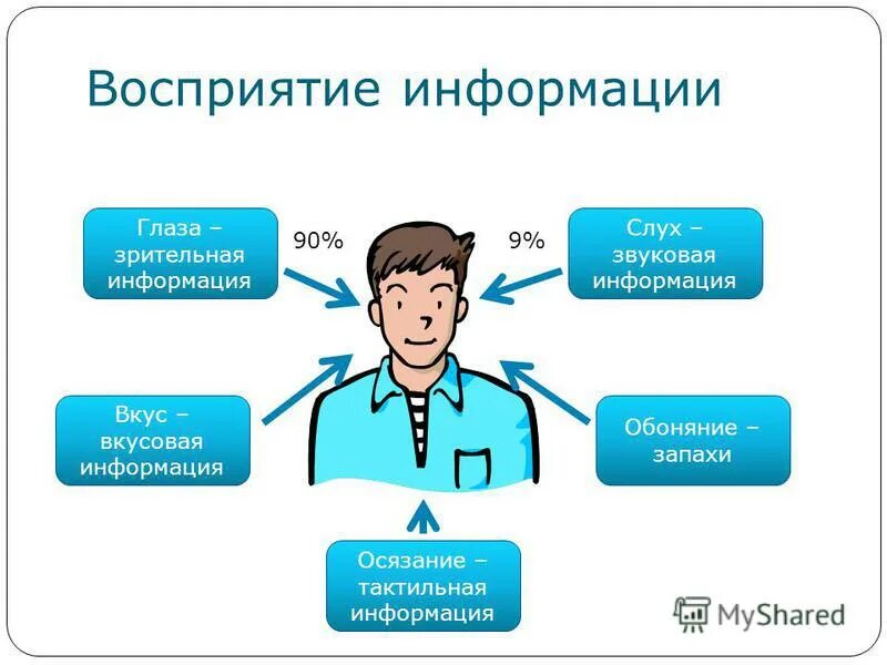 Слово информация происходит