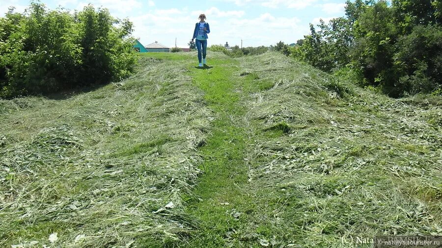 Село локоть Рыльского района Курской области. Монастырь Рыльск глина. Новониколаевка в Курской области. Глина в Рыльске. Рыльск отзывы