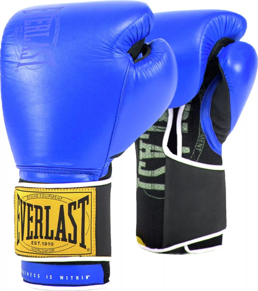 Купить битье. Боксерские перчатки Everlast 1910. Перчатки тренировочные Everlast 1910 Classic. Перчатки боксерские Everlast 12oz. Перчатки Everlast 12 oz.