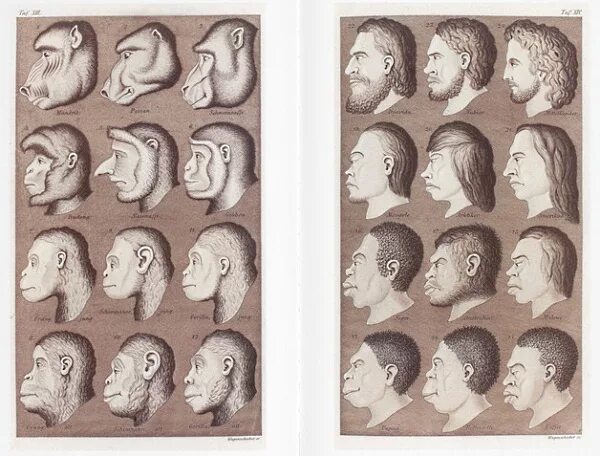 John lasseter in different movies. Rear its head. Rear its head. Rear its head. Rear its head.