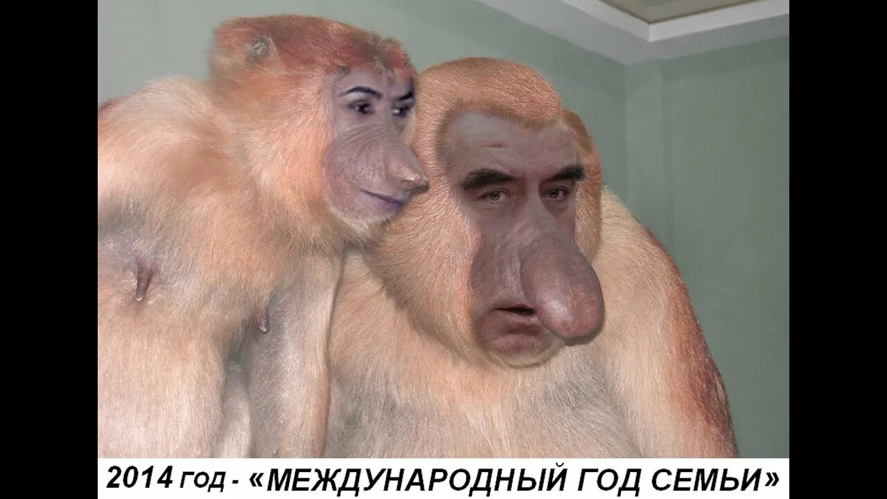 Какашка макака