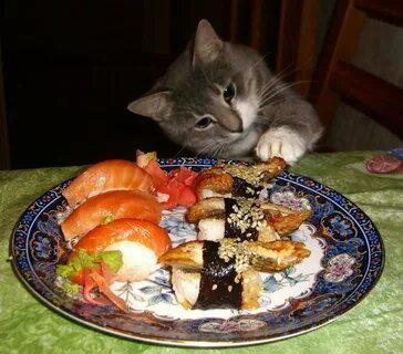 Кошка любит есть рыбу