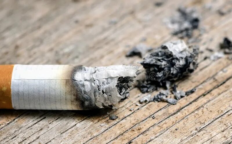 Сигареты купить пепел. Пепел сигареты. Пепел от табака. Плесень на сигаретах. Плесень на сигарах.