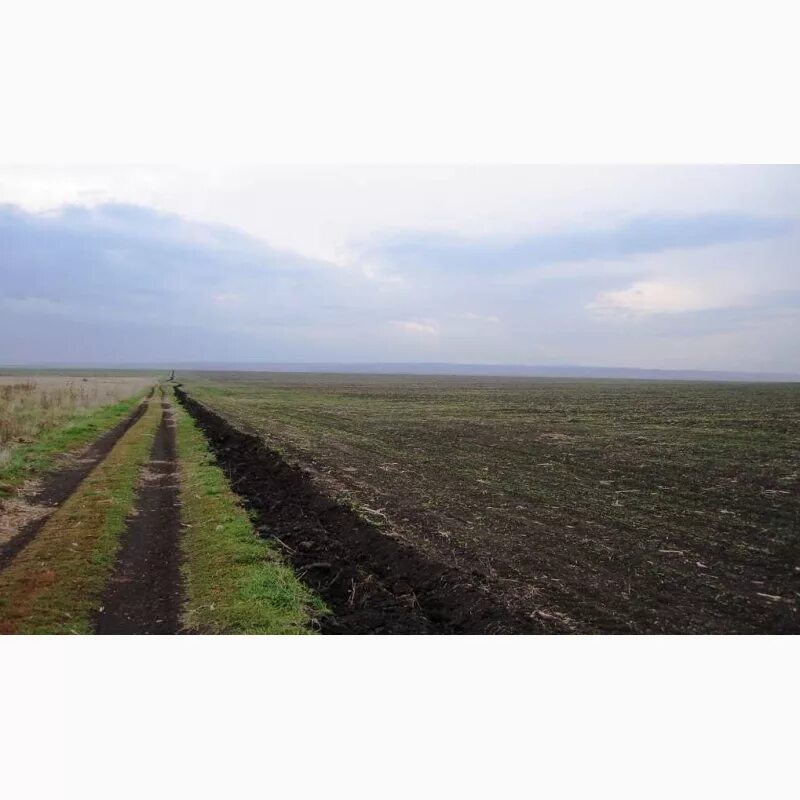 Сдача в аренду земель сельхозназначения. Аренда земли сельхозназначения. Аренда земли псковская область. 64 гектара. Земли сельхозназначения возле села коврово нижнегорского района.