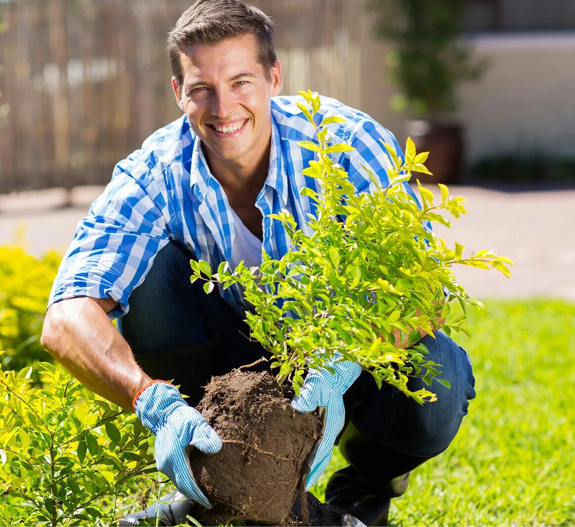 моя мама социальный работник рисунки. требуется медицинская сестра. социальная работа. сиделка для пожилого человека. садовник.