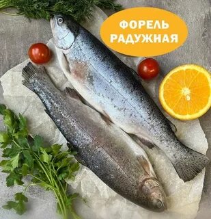Форель из карелии отзывы