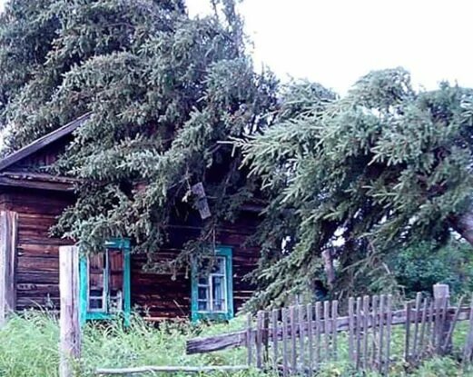 Поселок зея амурская область. Погода умлекан. Погода умлекан. Погода умлекан. Поселок зея амурская область.