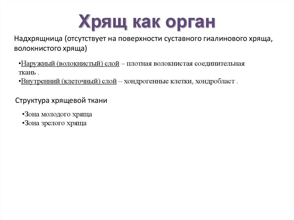 Значение хряща. Хрящ как орган. строение хряща как органа. строение хряща как органа гистология. хрящ как орган гистология.