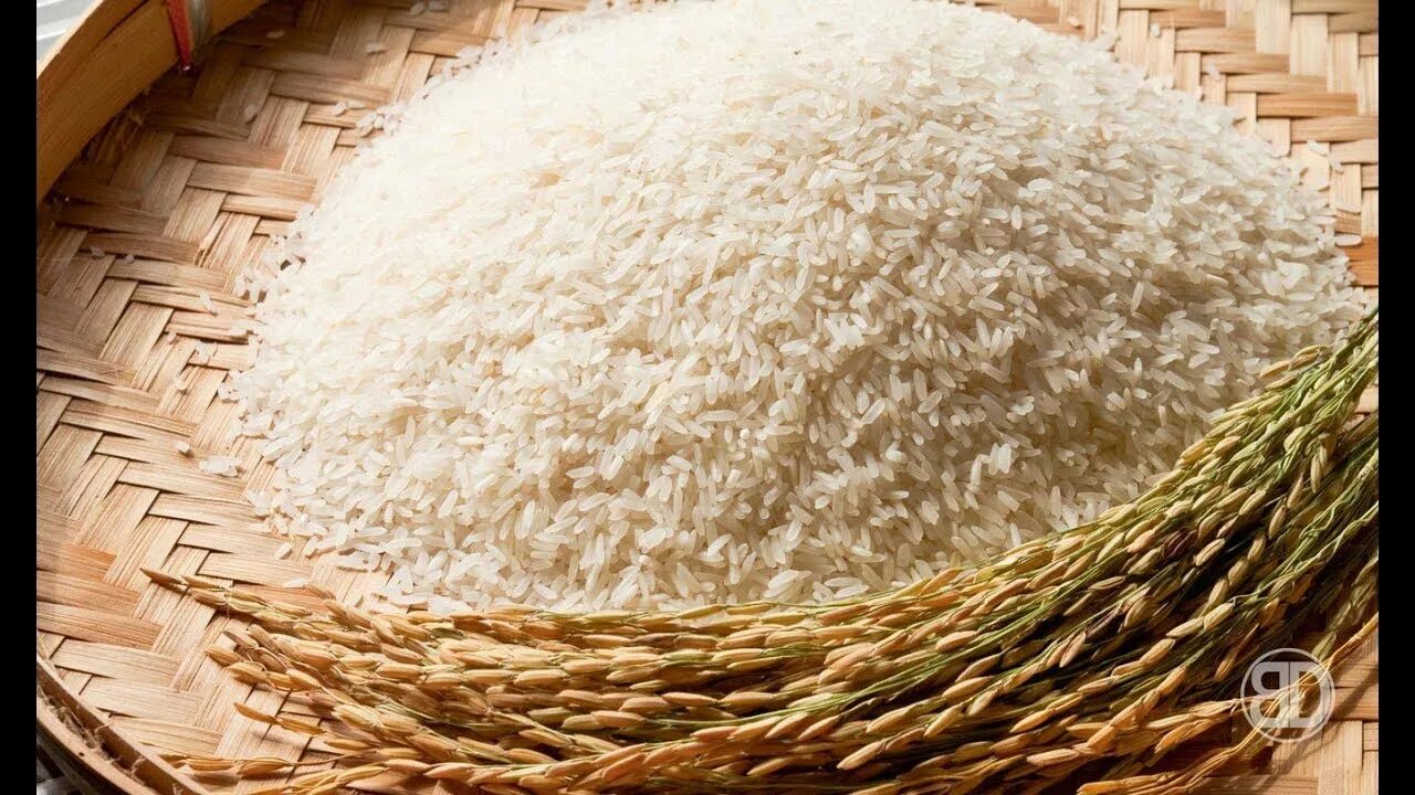 Big rice