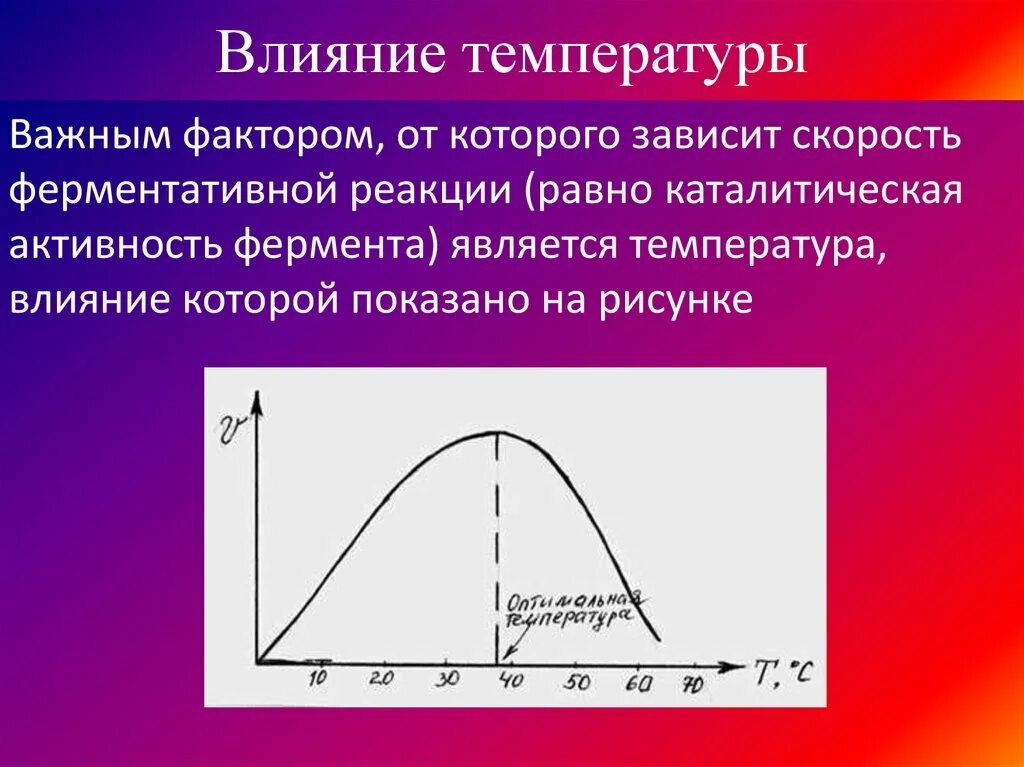 График зависимости скорости ферментативной реакции от температуры. Зависимость скорости ферментативной реакции от температуры. Влияние концентрации фермента на скорость ферментативной реакции. Зависимость ферментативных реакций от РН температуры. График зависимости фермента от температуры