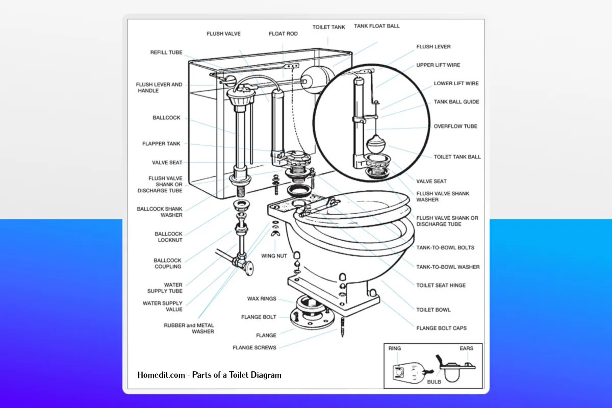 Где все яйца в toilet tower. Части унитаза. Название частей унитаза. Унитаз diagram. Части туалета название.