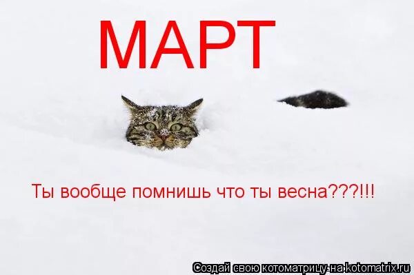 Март ты где.