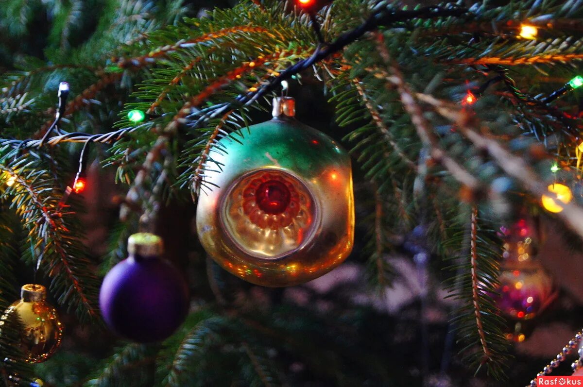 елочка любит