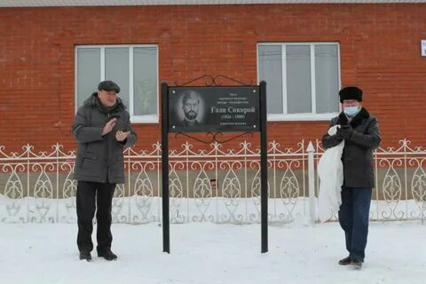 Гали сокорой
