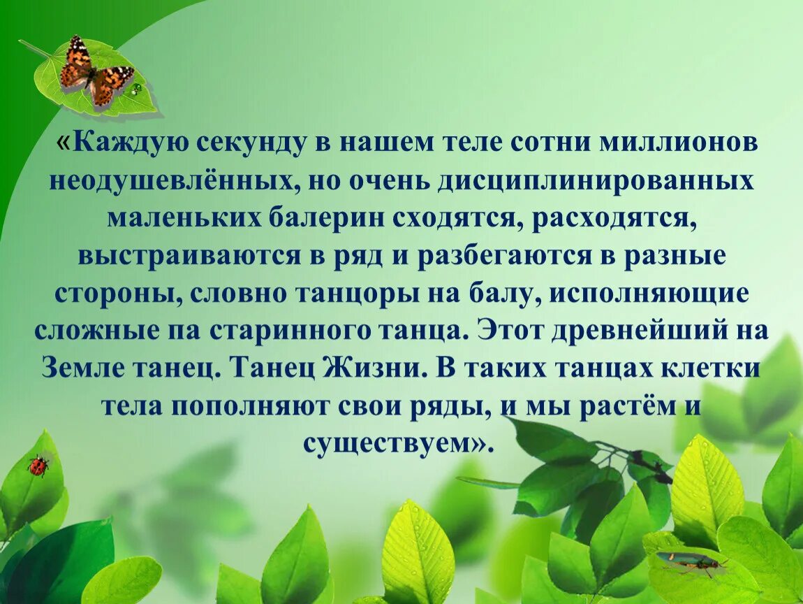 Урок проект биологии. Биология 6 класс презентация. Культурные растения. Охрана растений. Проект по защите растений.