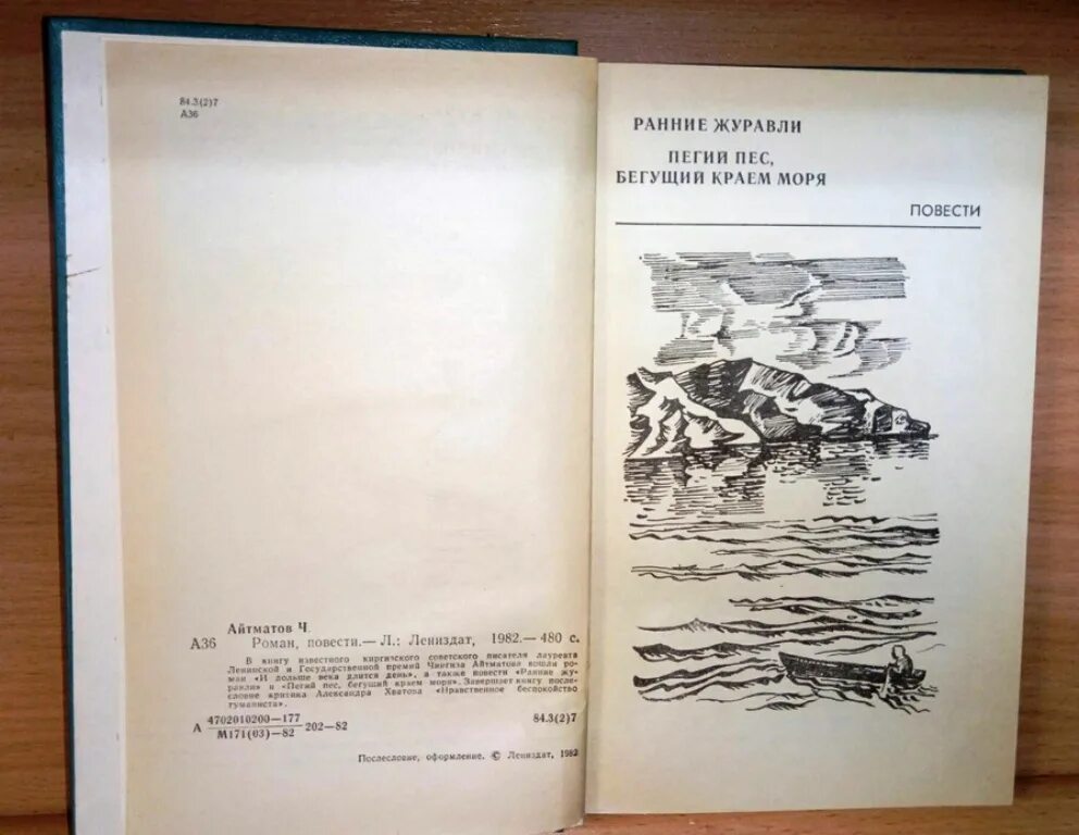 Пегий пес бегущий краткое содержание. Пегий пёс бегущий краем моря книга.