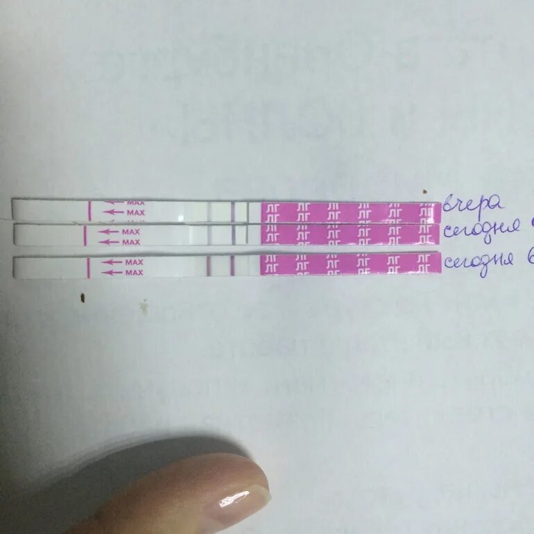 Тест на 17 ДЦ. Овуляция на 17 день цикла. Овуляция на 17-18 день. Тест на 42 ДЦ. Овуляция на 17 день