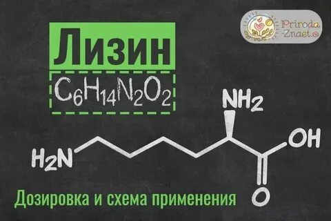 Лизин какая среда