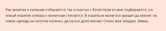 Заговор на новый кошелек. Заговоры денежные на новый кошелек. Заговор на новый кошелек чтобы деньги водились. Приворот на деньги в кошельке.