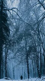 Такая разная зима
