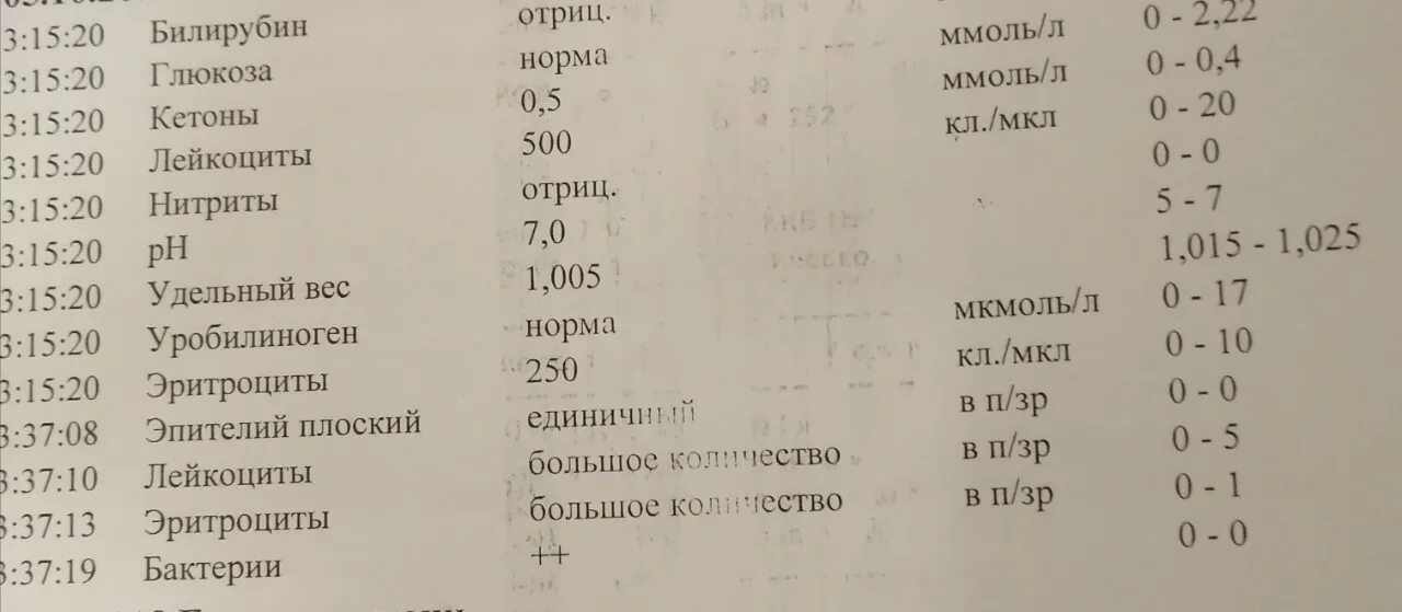 Показатели мочи при пиелонефрите. Анализ мочи при цистите. Цистит по общему анализу мочи. Общий анализ мочи при цистите. ОАМ при цистите.