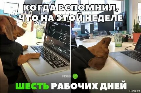 Как не работать не дня