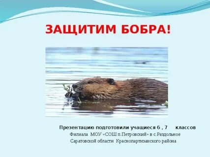 Я вас способу бобра научу