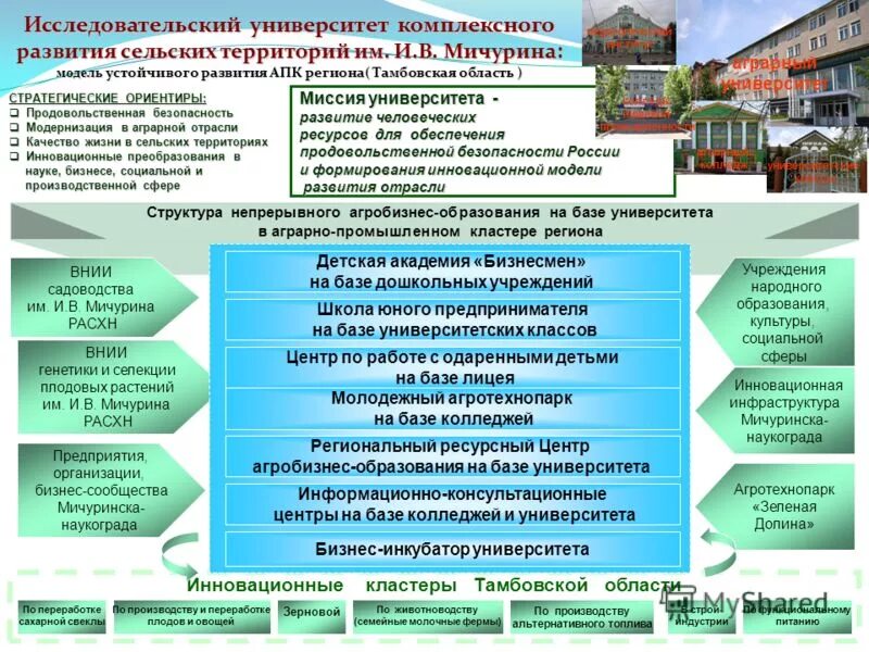 Модель устойчивого развития. Устойчивое развитие университета. Основные элементы устойчивого развития. Актуальность устойчивого развития экология. Устойчивое развитие университета.