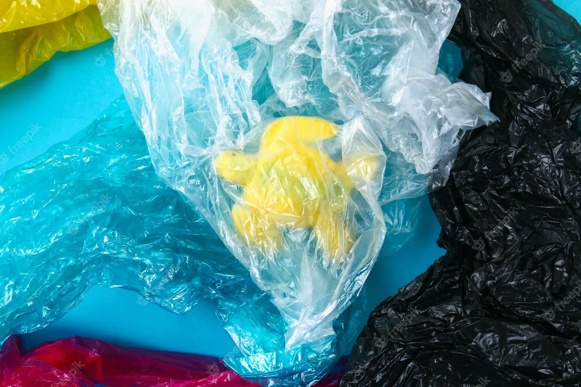 Ест полиэтилен. Насекомые поедающие пластик. Ест полиэтилен. Насекомые поедающие пластик. Пластик катастрофа.