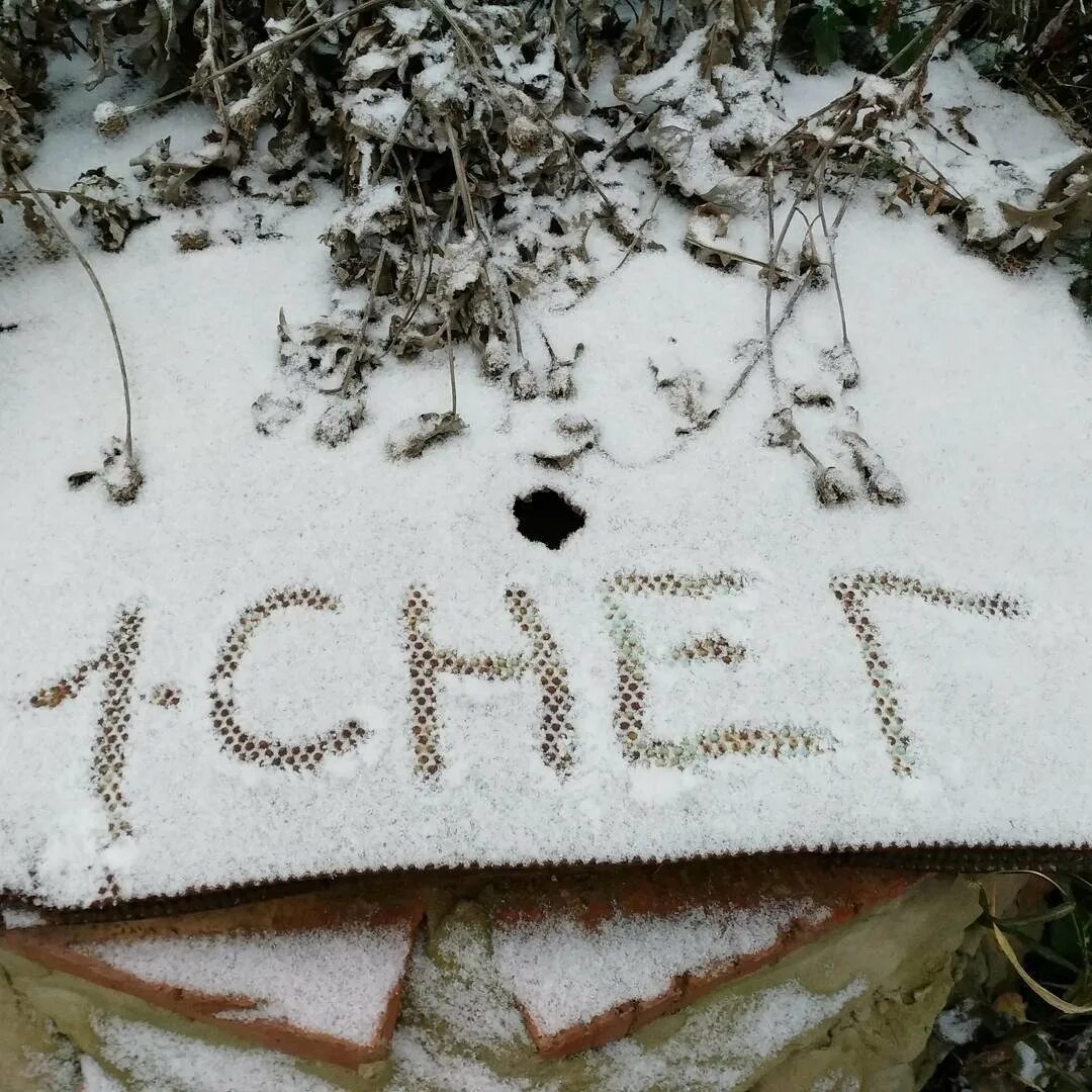 Первый снег. Открытки с первым снегом. Поздравления на снегу. Поздравление с первым снегом.