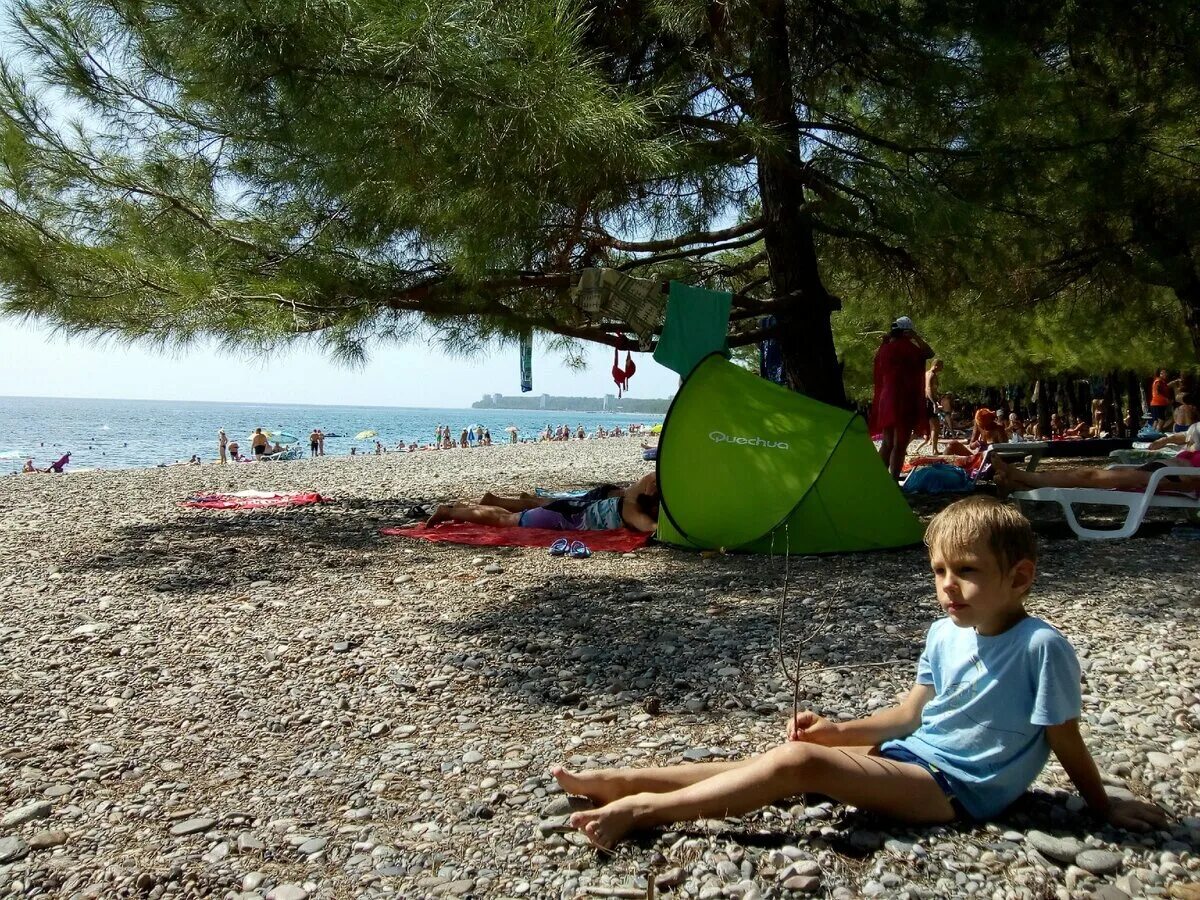 Сосновая роща пляж Лдзаа. Пицунда Абхазия пляж с соснами. Пицунда пляж Лдзаа. Пляж сосны Лдзаа Абхазия. Пляжи абхазии с детьми