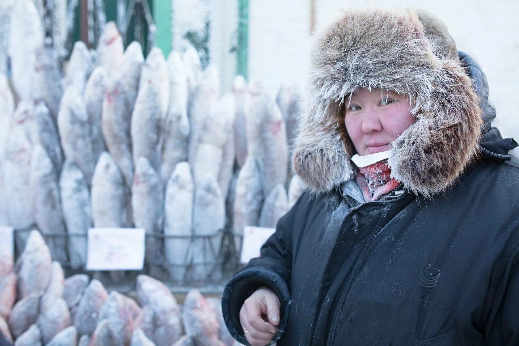 Жизнь в якутии. Рынок рыбный Оймякон. Рыбный рынок в Якутии. Оймякон рыба. Рынок в Якутске зимой