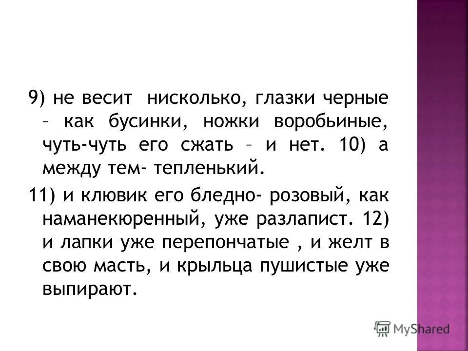 Желтая уточка. Утята. Маленький желтый утенок смешно припадая к мокрой. Маленький желтый утенок смешно припадая к мокрой. Милый утенок.