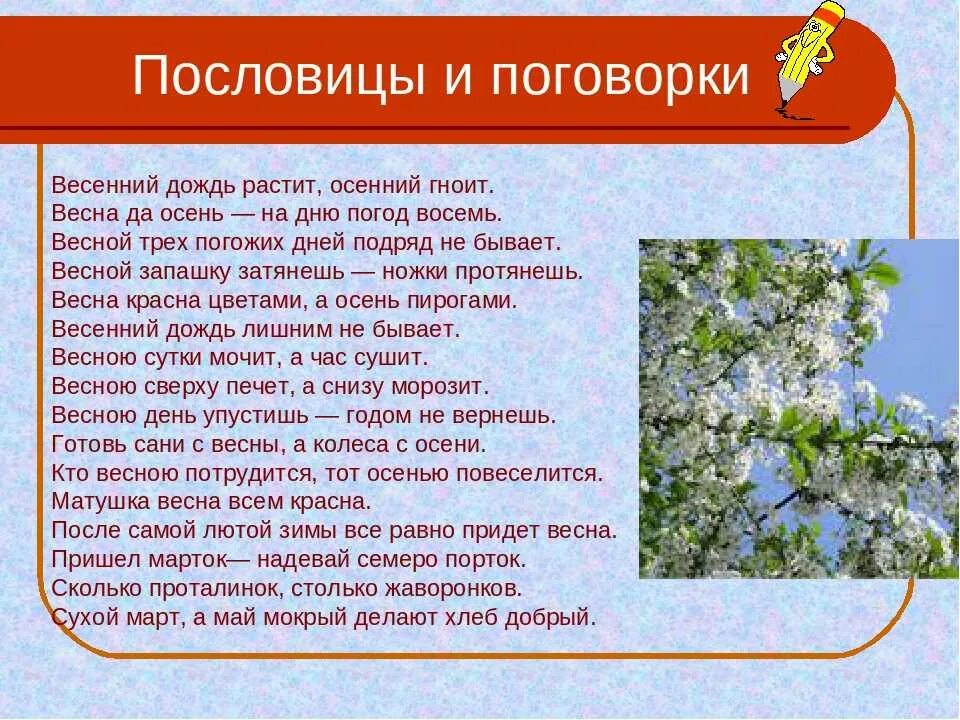 Пословицы о временах года. Пословицы отвременах года. Загадки и пословицы о временах года. Пословицы о зиме и весне. Пословицы дождик