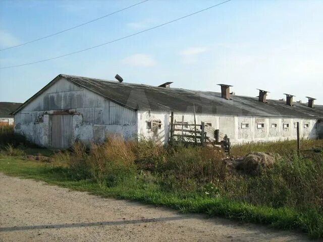 Совхоз луховицы