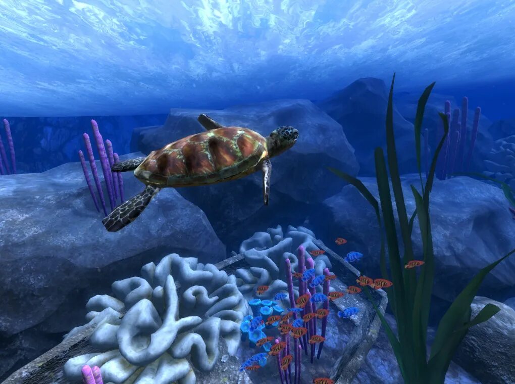 Theblu vr. Подводный мир 3d. Виртуальная реальность океан. Vr steam ocean. Виртуальная реальность океан.