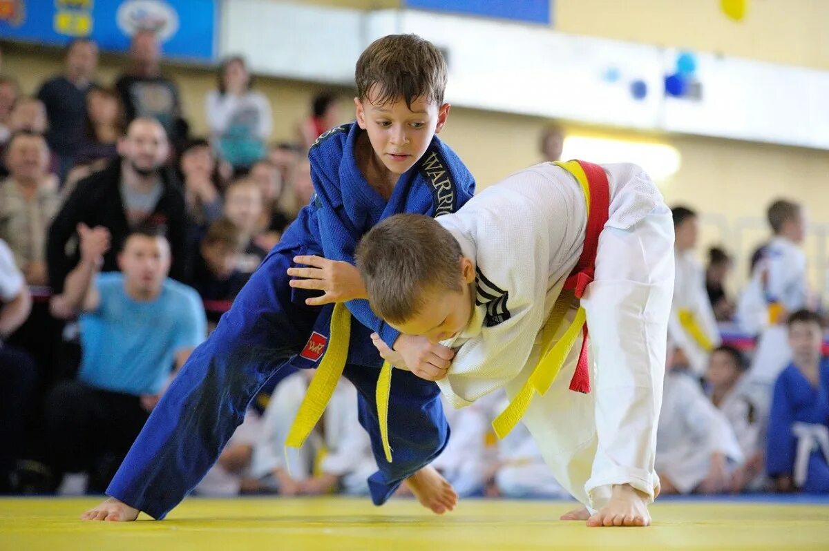 тренеры новосибирск дзюдо. с днем тренера дзюдо. отзыв тренеру дзюдо. софья ижевск дзюдо. монахов илья андреевич.